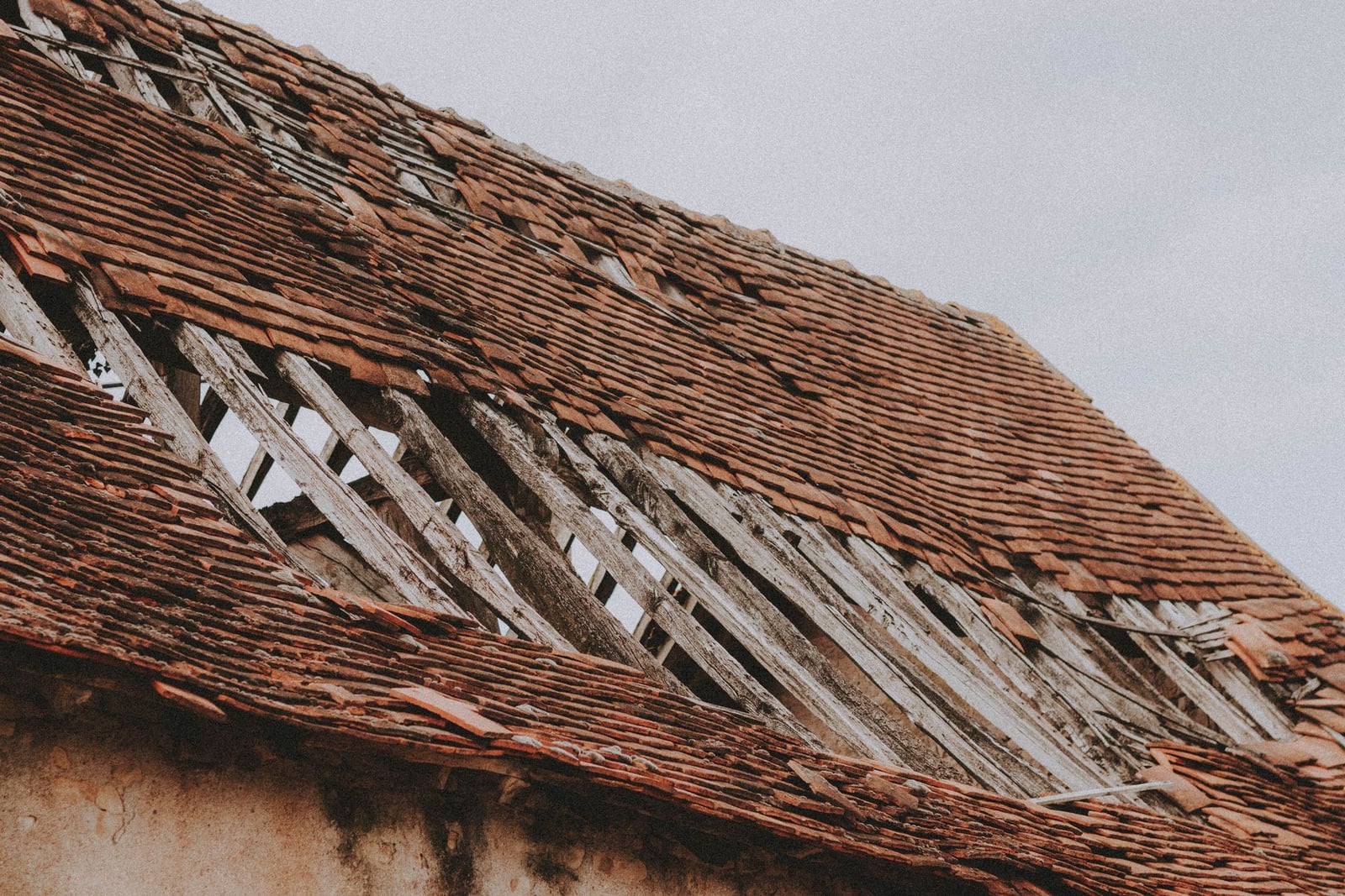 Damaged roof edge showing a potential animal entry point