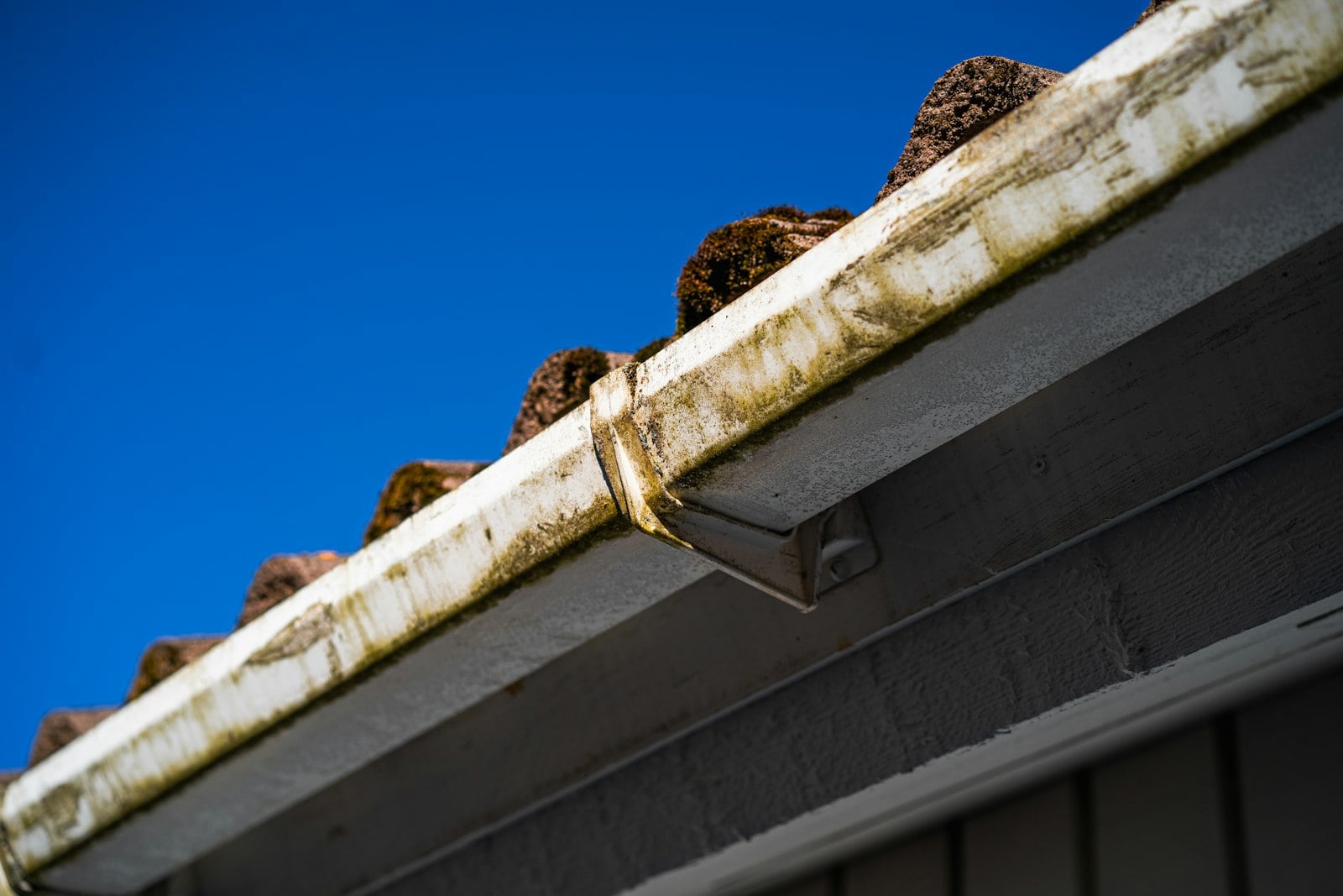 Gutter clogged with leaves and debris on a Huntington Beach roofline