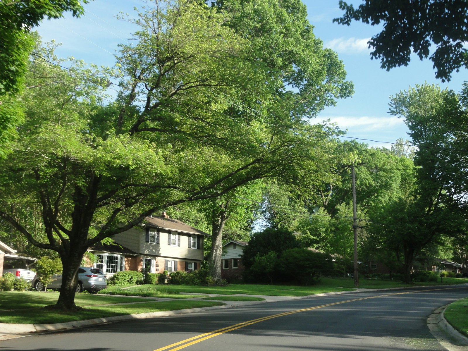 Roof repair Fountain Valley — tree-lined residential street