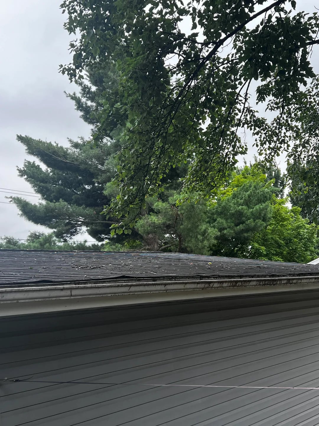 Close inspection of a roof eave and gutter line on a Huntington Beach home