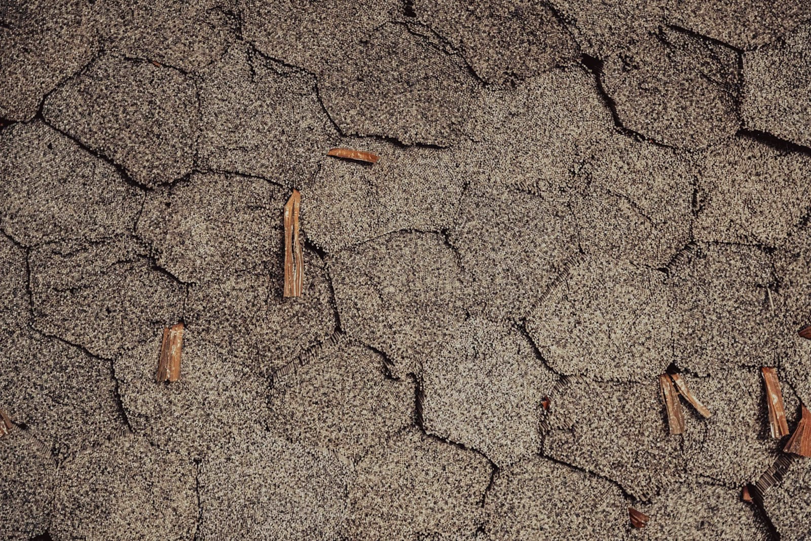 Close up of granule texture on asphalt shingles on a Huntington Beach roof
