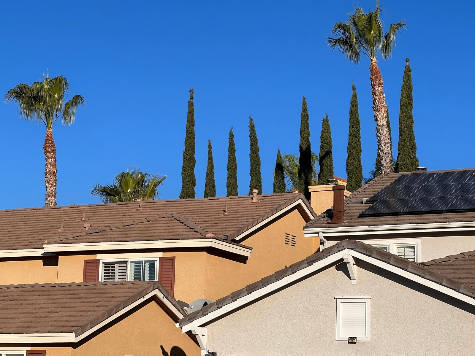 Suburban California rooftops under palm trees and clear sky
