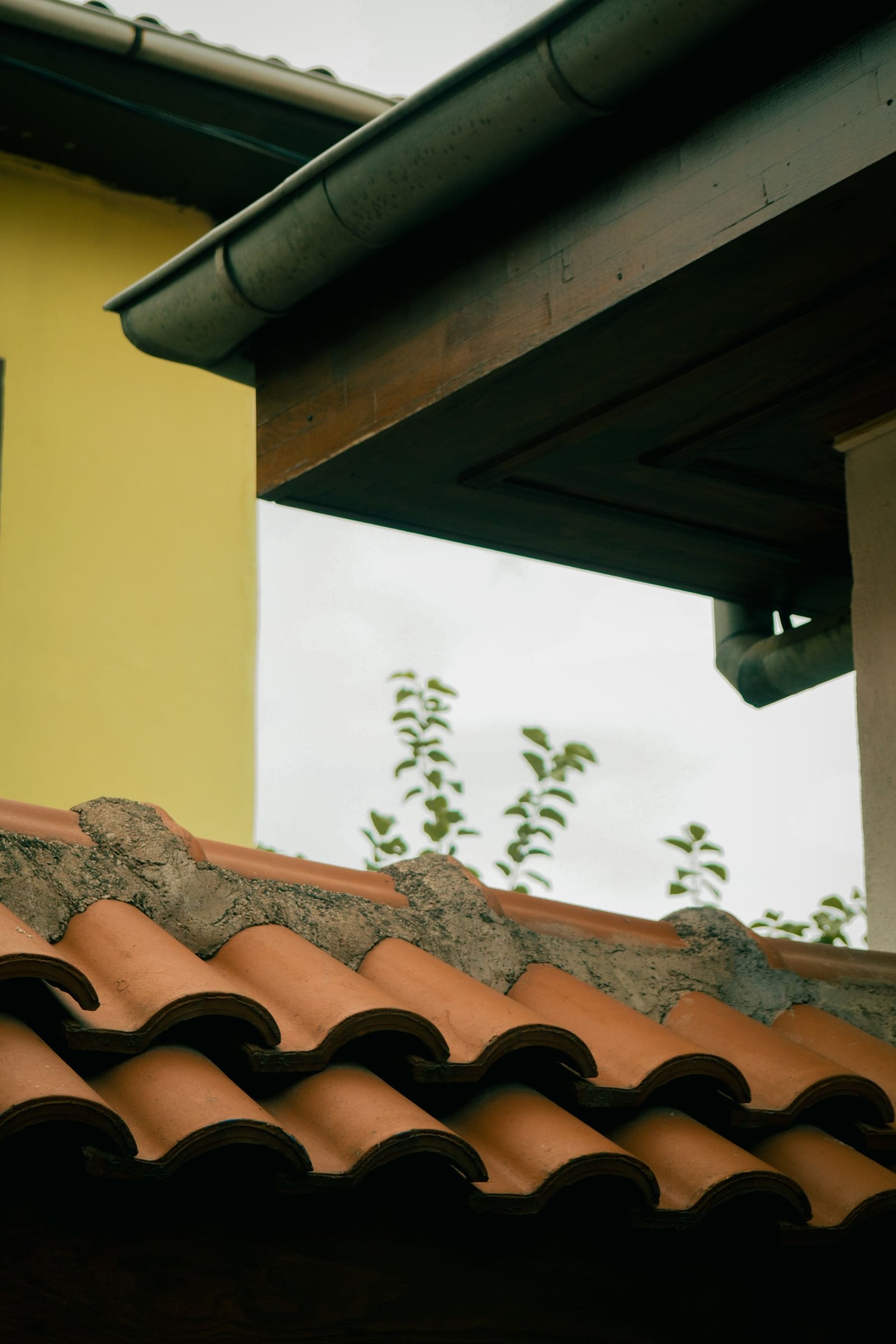Close-up of a tile roof eave and edge
