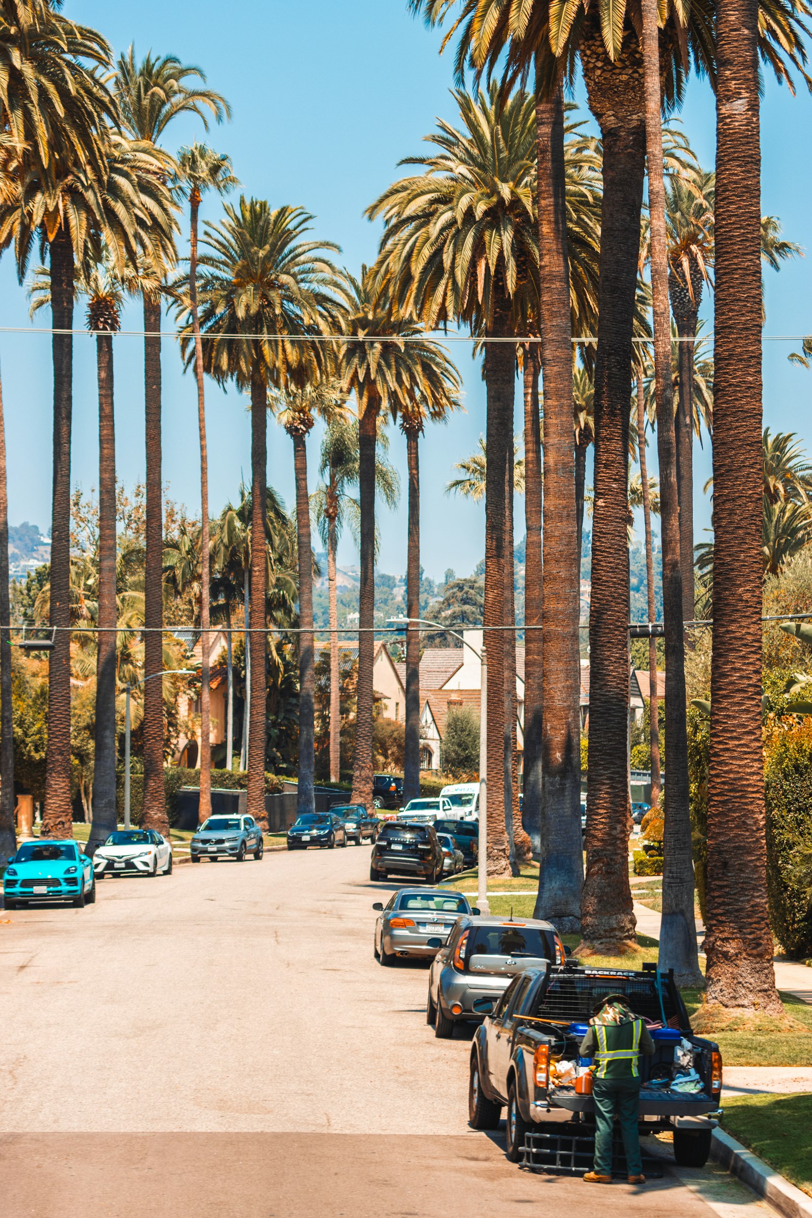 Roof repair Westminster CA — palm-lined residential street